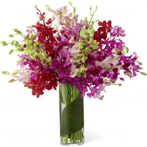 LX75 Bouquets d'Orchidées Luxueux et Lumineux