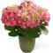 C24-4878 La Jardinière FTD®, Hydrangea Roses