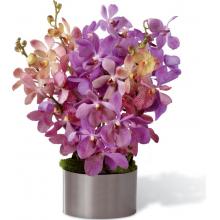 C19-4860 Le Bouquet FTD®, Orchidées Irrésistibles