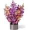 C19-4860 Le Bouquet FTD®, Orchidées Irrésistibles