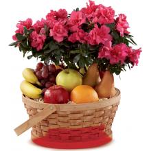 S56-4573 Le panier de fruits et plantes FTD® Encircling Grace