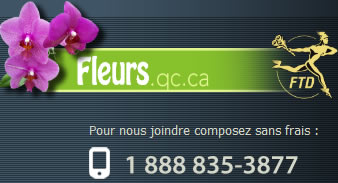 Fleurs en ligne